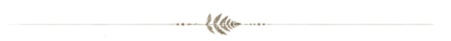 Dělicí linka